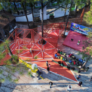 GROWING PANDA STAGE · FOREST OLD BUILDING REGENERATION ART POCKET PARK PUBLIC ART SPACE PROJECT